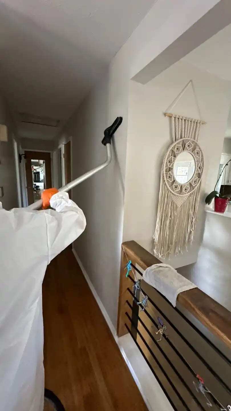 Technician dusting a hallway wall with a long-handled tool